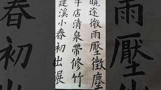 書法練習：【十一月上七日蔬菜飯騾嶺小店】其二。南宋‧陸游。 [upl. by Ahtabbat]