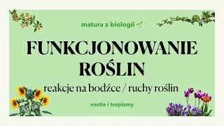 313  Ruchy roślin 🌼  tropizmy nastie aparaty szparkowe 🌷 matura z biologii 📕 liceum [upl. by Whittemore]