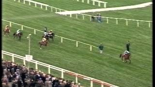 1998 Unicoin Homes Gold Card Handicap Hurdle Final [upl. by Okiruy842]