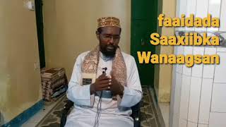 Faaidada Saaxiibka Wanaagsan lagahelo halkaan kadhageyso heekh Abubakar xasan maalin [upl. by Airdnas]