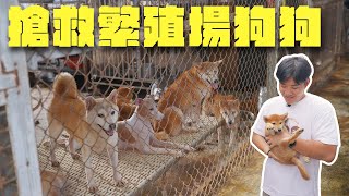 搶救繁殖場狗狗！捐了1萬公斤飼料給狗園！ft趙媽媽狗園【Joeman】 [upl. by Nnek158]