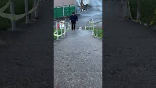 I won Haha puppy mickey cuteanimal running stairs [upl. by Ahseenat936]