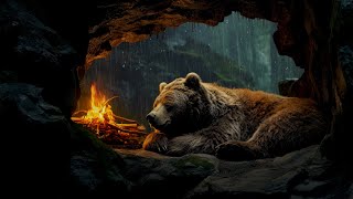 The Bear Sleep Soundly in the Cave at Rainy Day  Cure Stress Anxiety PTSD [upl. by Aron]