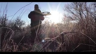 First Deer in America with the New Turbo M1 Crossbow [upl. by Linell]