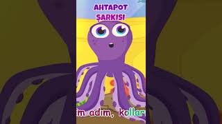 🐙Ahtapot 🐠Denizatı 🪼Denizanası Şarkısı miniyoçocukşarkıları ahtapot denizatı denizanası [upl. by Naimad]