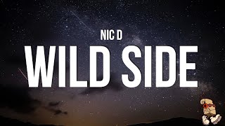 Nic D  Wild Side Lyrics [upl. by Notreve]