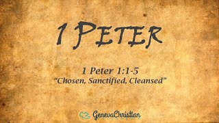 Sunday Nov 10 2024 1 Peter 1 15  quotChosen Sanctified Cleansedquot [upl. by Harneen]