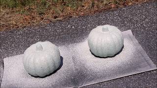 Fall Dollar Tree DIY Faux Stone Pumpkin Arrangement [upl. by Nimajneb]