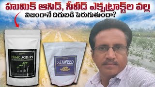 Humic Acid Seawead Uses  How to Use Humic Acid Seawead In Plants హుమిక్ సీవీడ్ ఎందుకు వాడాలి [upl. by Paryavi]