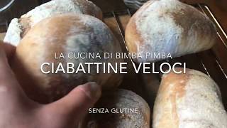 Ciabatte velocissime senza glutine [upl. by Nywra]