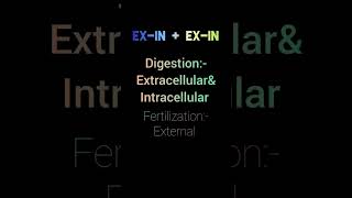 Phylum ctenophora characteristics trickDr loading neet2025 tricks trendingshorts shorts [upl. by Netti]