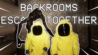 NEW BACKROOMS GAME [upl. by Gabriellia]