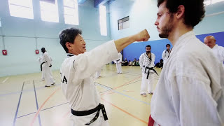 Maître Lee Kwan Young 9ème Dan de Taekwondo [upl. by Opportuna51]