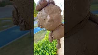 An old teddy on the road 🥰 shortvideo amazingfacts [upl. by Taft]