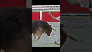 Bull 🐂 Riding  Bull Jumping Bull Gaming rodeo bullriding mechanicalbullriding bullrider bull [upl. by Annawad]