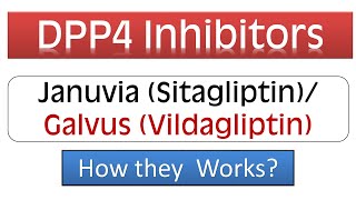 DPP4 Inhibitors  Januvia Sitagliptin Galvus Vidagliptin  Pharmacology amp Mechanism of Action [upl. by Nyleahcim]