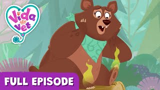 Otto’s Smelly Feet VidaTheVet 💖 Animal Cartoons for Kids  Fun Learning Animals educational [upl. by Noonan]