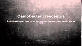 Medical vocabulary What does Caulobacter crescentus mean [upl. by Wyatt]