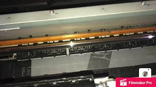 Epson R3000 DTF module roll to roll acrorip 903 [upl. by Nahsab282]