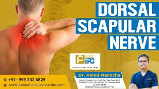 DORSAL SCAPULAR NERVE [upl. by Kroll]