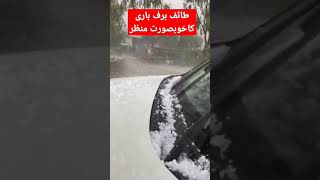 Snow fall in taif Snowfall Taif Shorts Saudi info [upl. by Notfilc]