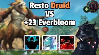 23 Everbloom Resto Druid PoV  Zmug [upl. by Nadiya]