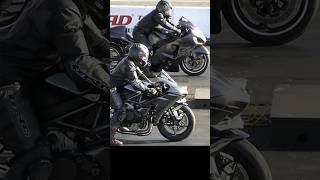 Ninja H2r vs Hayabusa world race😱🥵 superbike top trending shorts subscribe [upl. by Fraase]