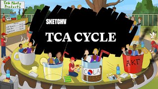 Learn the TCA Cycle Full Lesson  Sketchy MCAT  Biochemistry [upl. by Mencher]