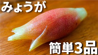 【日本酒や焼酎に合う！】みょうがを使った簡単おつまみレシピ3品～3 Japanese ginger～ [upl. by Angle]