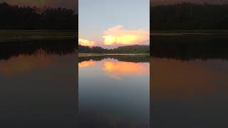 Fish jumping at Goat Refuge Lake at sunrise on 20240825 [upl. by Blondelle127]