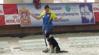 FCI Obedience World Championship 2016  Final [upl. by Suhsoj]