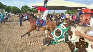 CORRIDA DE CAVALOS  1ª CORRIDA PRADO IRACEMA AMIGOS DO KATITA 2023  PART 1 [upl. by Sim]