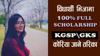 Study in korea for FREE KGSP\GKS Scholarship l How to Apply [upl. by Anitsyrhk]