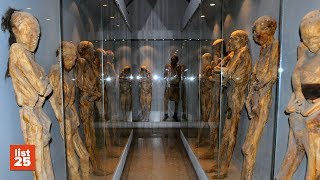 25 World’s STRANGEST Museums [upl. by Fidellas91]