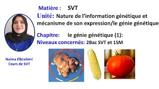 Cours SVT Bac Biof Nature de l’information génétique  le génie génétique 1 [upl. by Lincoln]