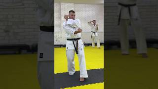 Инструкторская тренировка Eremenko’branch karate iko eremenkodojo martialarts рнфкк kyokushin [upl. by Yenor715]