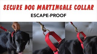 What is a Martingale Collar EscapeProof [upl. by Duffy]