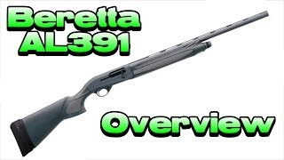 Beretta AL391 Overview  Gun Pr0n [upl. by Eehc814]