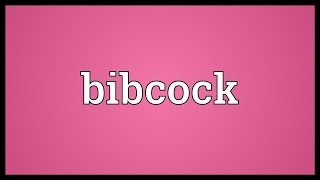 Bibcock Meaning [upl. by Nuahsed386]