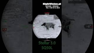 Dziki 80 metrów  HIKMICRO STELLAR 30 SQ50L shorts hikmicro nightvision stellar [upl. by Gove]