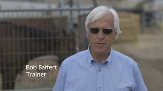 Breeders Cup Moments Bob Baffert [upl. by Yerdua520]