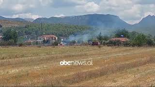 Zjarr në Mamurras era e fortë favorizon flakët rrezikohen disa banesa  ABC News Albania [upl. by Eiggem305]