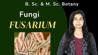 Fungi  FUSARIUM  Botany  B Sc amp M Sc [upl. by Hgielsa]