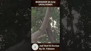 Bawaseer Ka Ilaj UrduHindi  Piles Treatment Fahim Herbalist [upl. by Sivad]