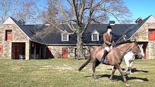 Horsefields Farm  Upperville Virginia Equestrian Estate [upl. by Sauncho]