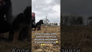 Щоб зняти повне відео завжди було купа експромтів 😆😆😆 [upl. by Haimes]