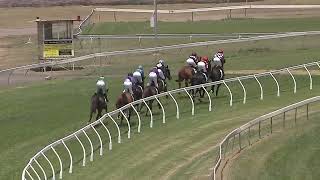 Tamworth 05 11 2024 Race 1 [upl. by Rolyks]