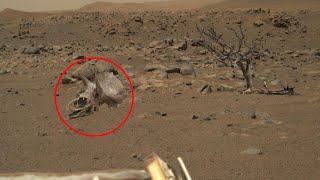 Mars rover stunning video footage captured by NASA  Mars 4k  Mars images Sol 132 [upl. by Maril]