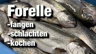 Forellen angeln  Fische Schlachten Kochen Steckerlfisch grillen [upl. by Lamoree]