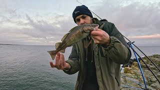 Shore fishing in  Northumberland  Dunstanburgh castle [upl. by Maharg960]